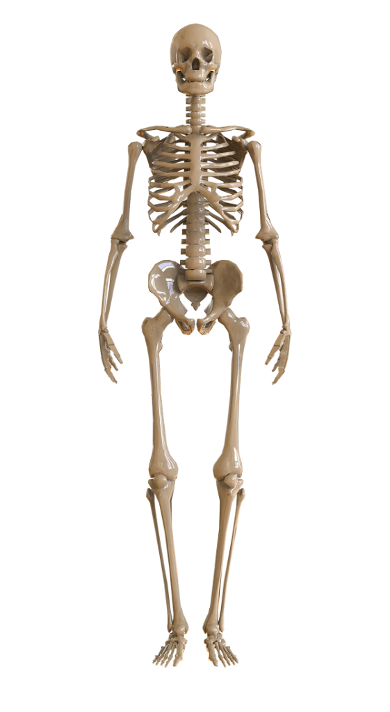 Before Image