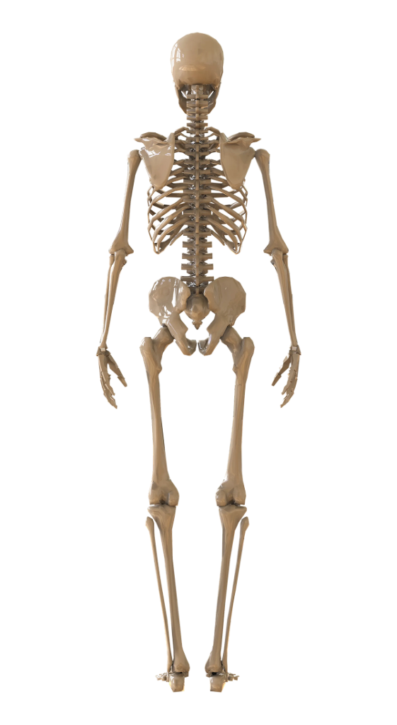After Image
